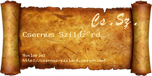 Csernus Szilárd névjegykártya
